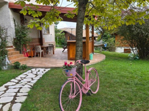 Home & Garden